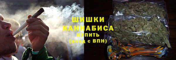 ГАЛЛЮЦИНОГЕННЫЕ ГРИБЫ Сосновка