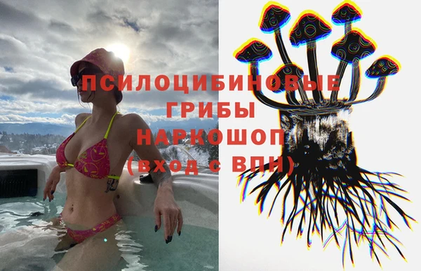 таблы Сосновоборск