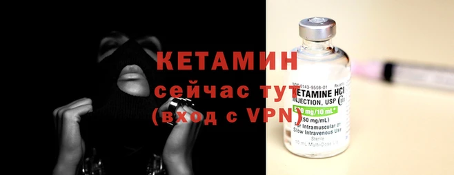 ПСИЛОЦИБИНОВЫЕ ГРИБЫ Сосновый Бор