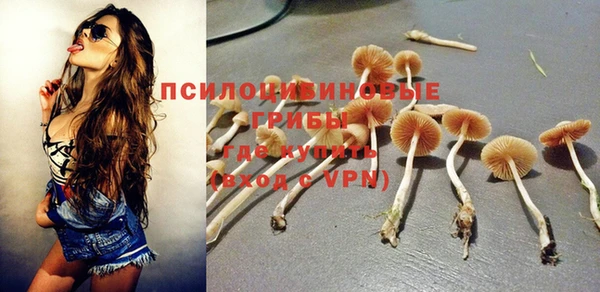 таблы Сосновоборск