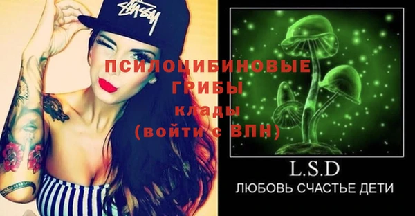ГАЛЛЮЦИНОГЕННЫЕ ГРИБЫ Сосновка