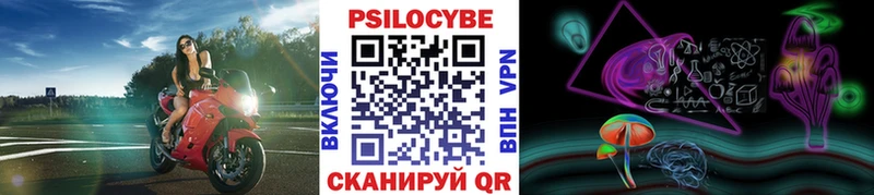 KRAKEN сайты даркнета формула Новоржев Галлюциногенные грибы мицелий где продают наркотики